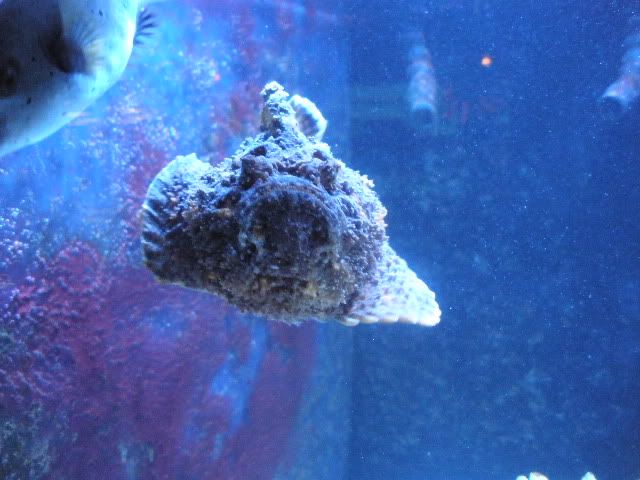 033.jpg