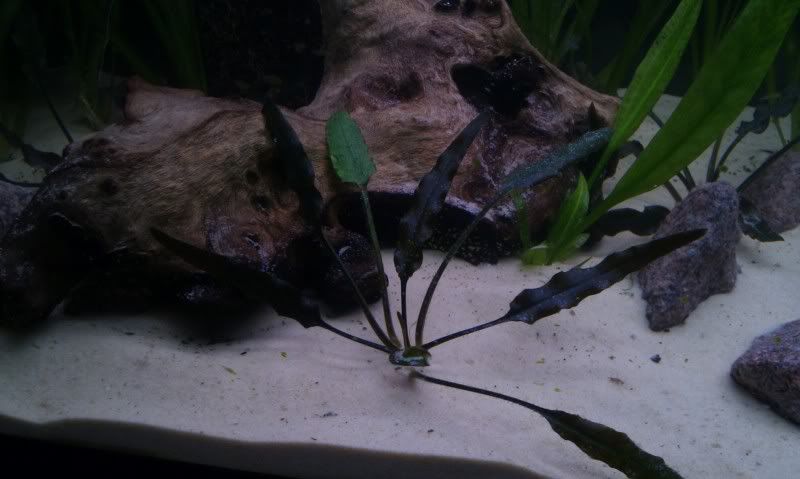 IMAG0943.jpg
