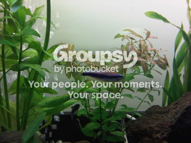 IMG00136-20100922-1944.jpg