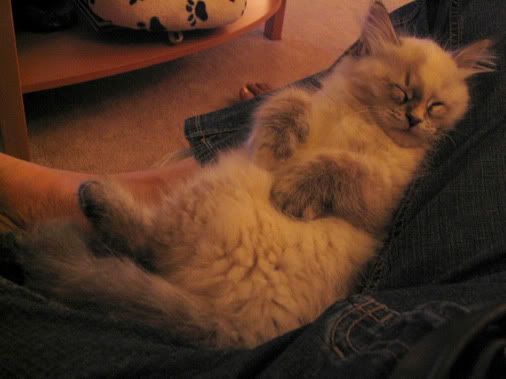 SleepingBaby.jpg