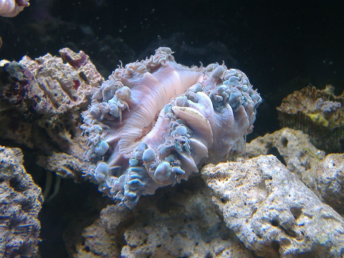 DSCF0492.jpg