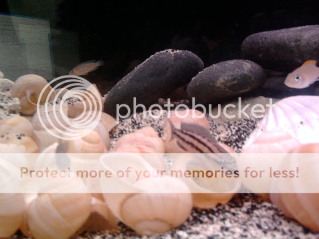 CopyofPhoto0047.jpg