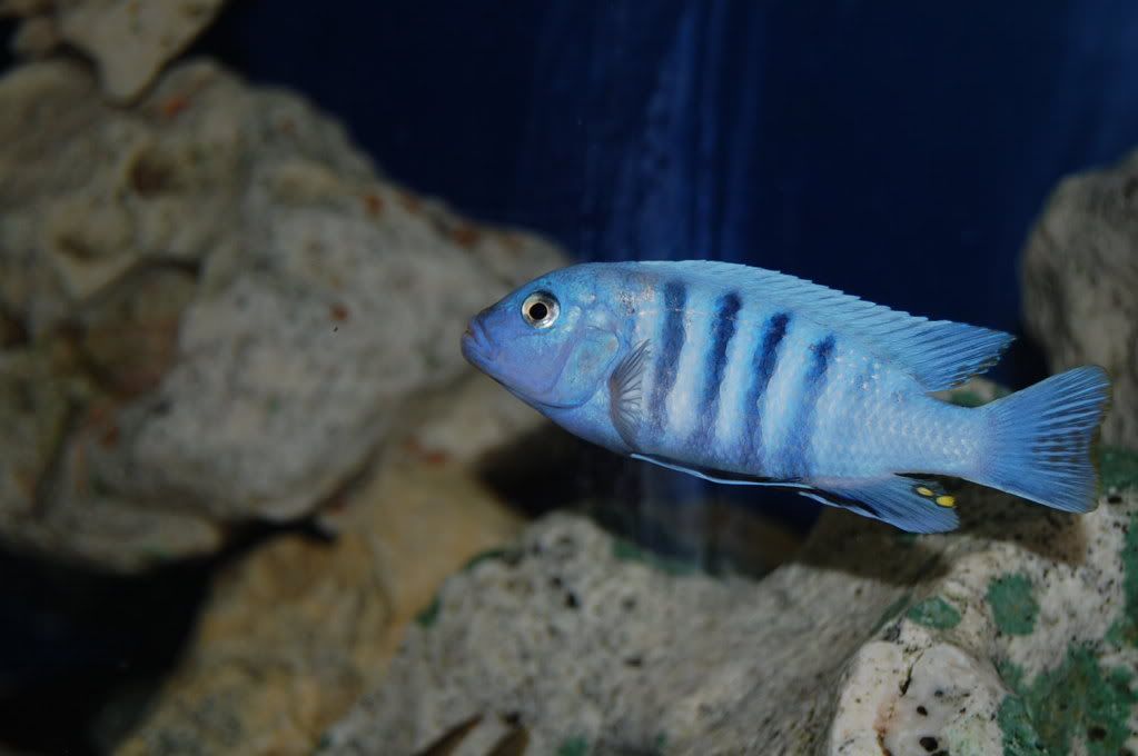 DSC_0014.jpg