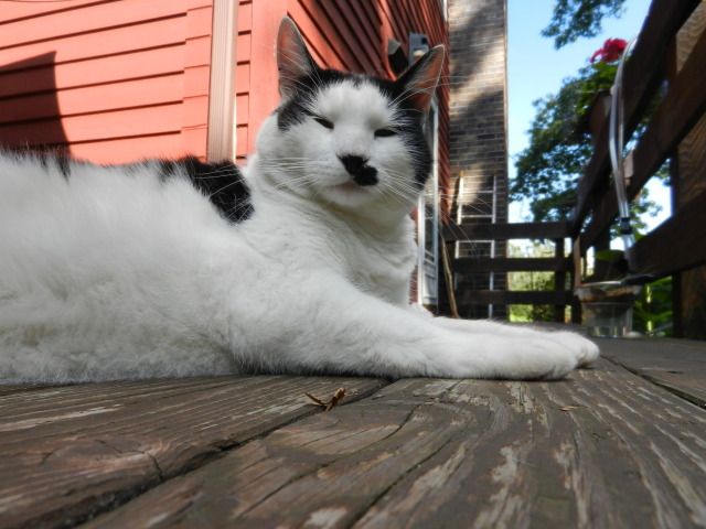 DSCN2264-1.jpg