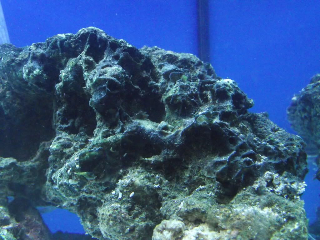 DSCF1394.jpg