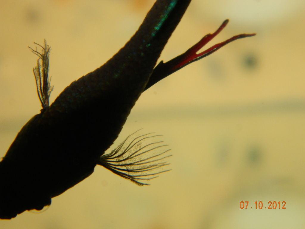093-2.jpg