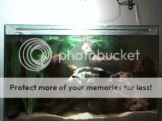 Picture231.jpg