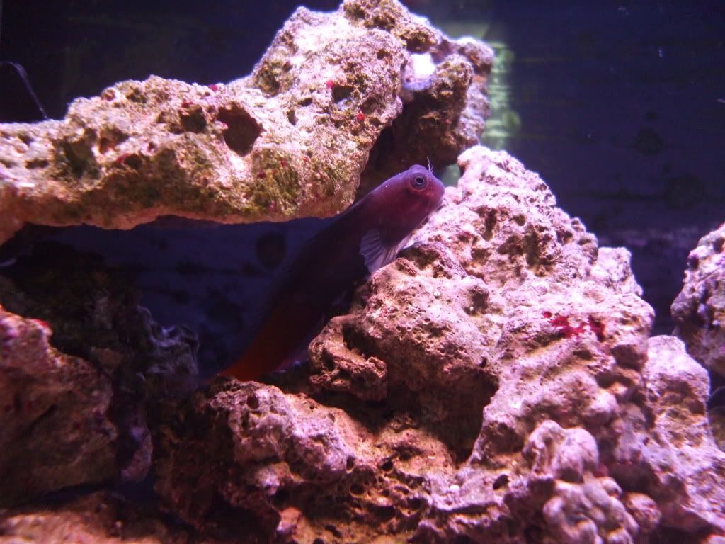 DSCF9041.jpg