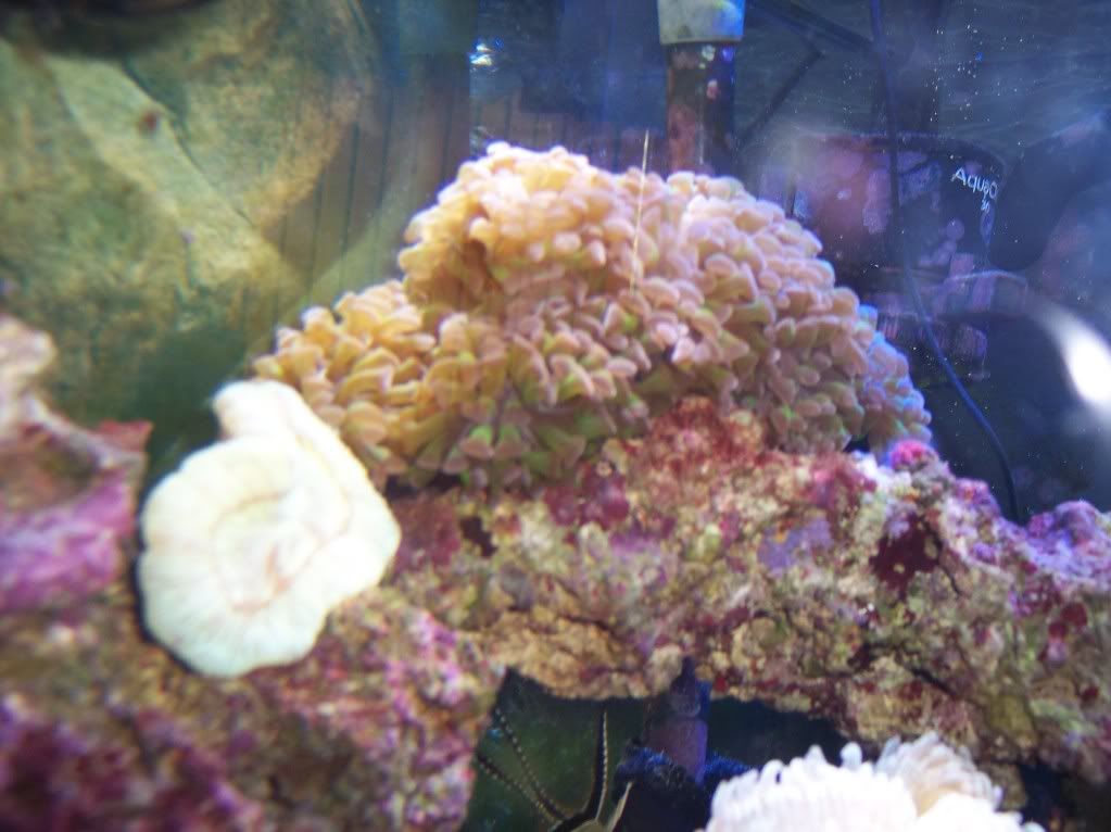100_2701.jpg