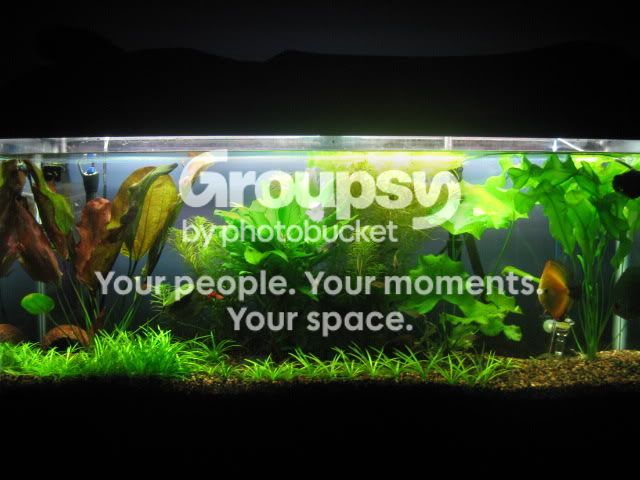 photobucket009.jpg