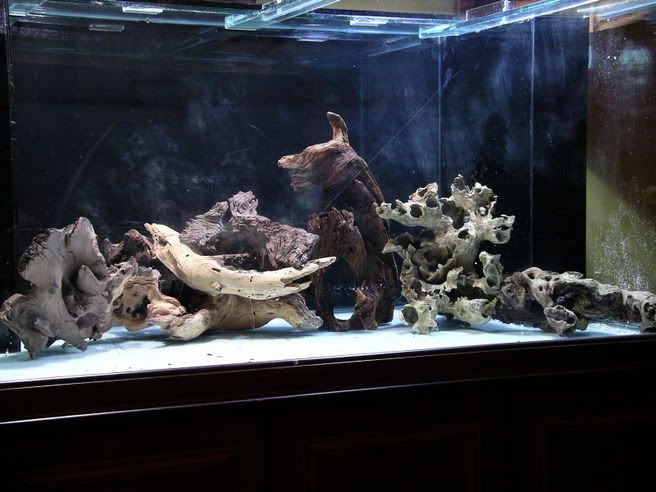 FishPics028.jpg