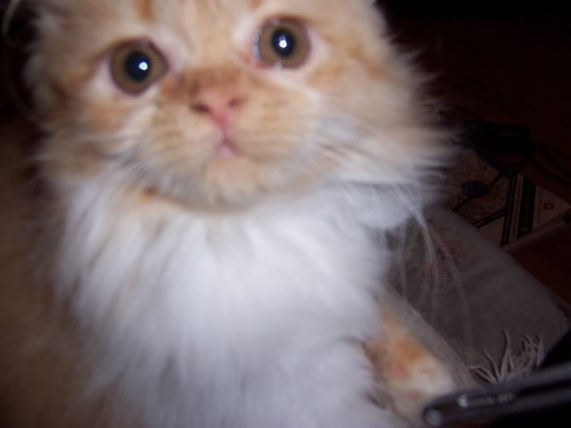 100_4414.jpg