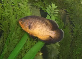 080206noname.jpg