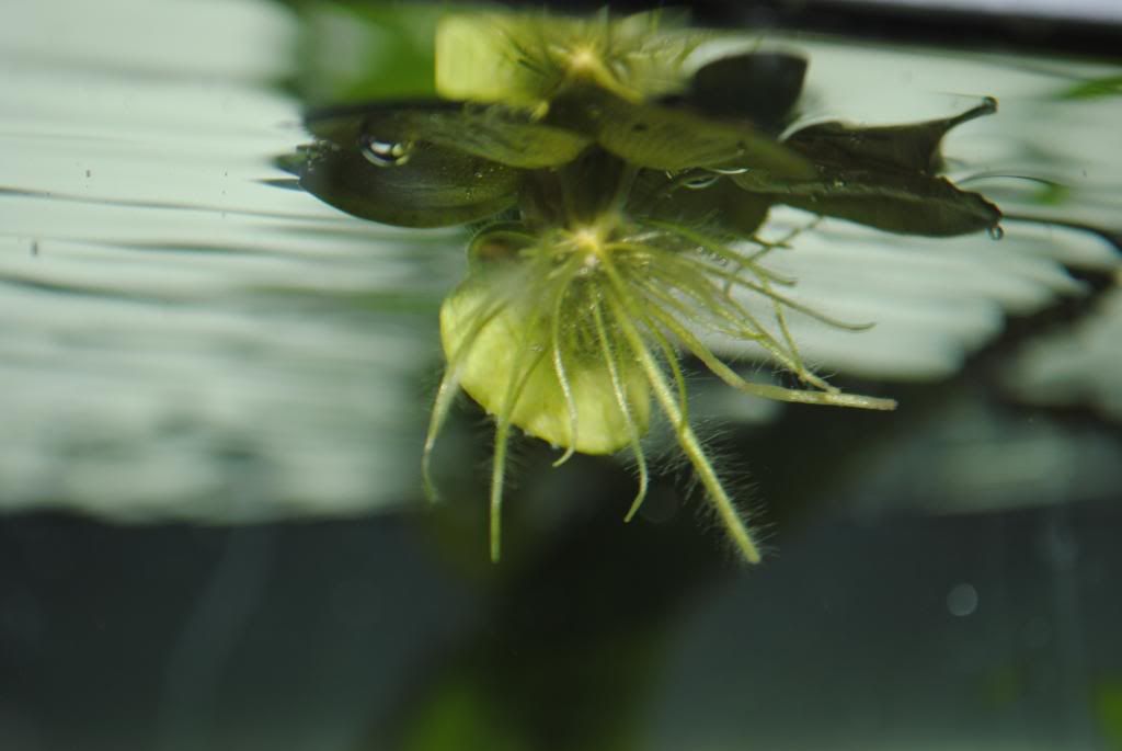 DSC_0089.jpg