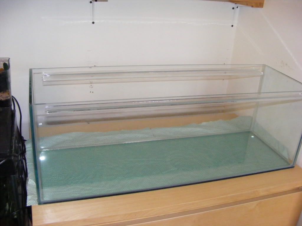 DSCF3139.jpg