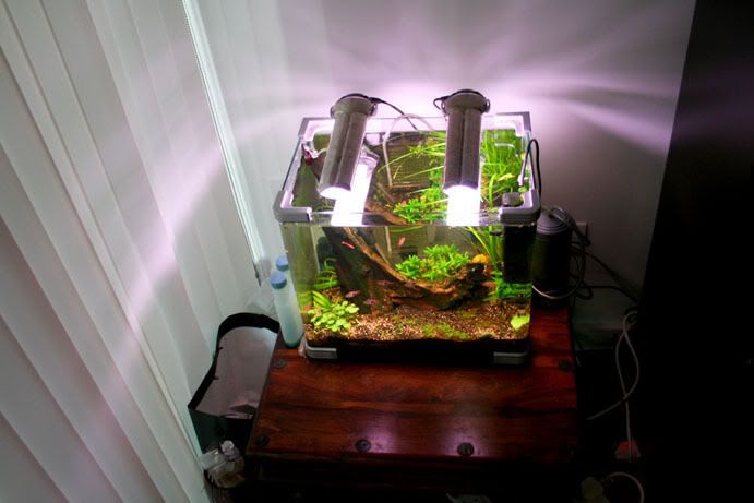 fishpic2.jpg