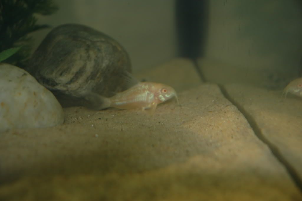 DSC_4857.jpg