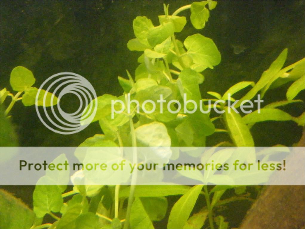 DSCF5876-1.jpg