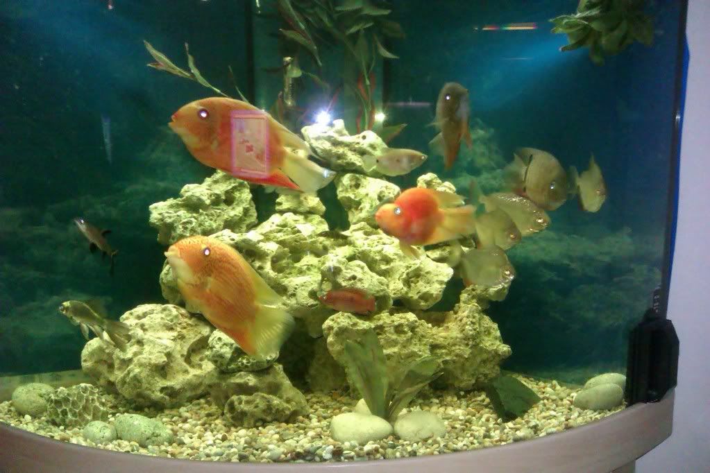 IMAG0119.jpg
