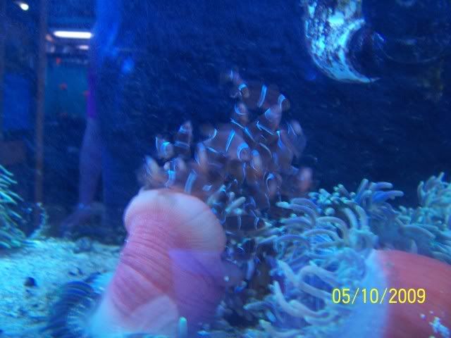 100_6146.jpg