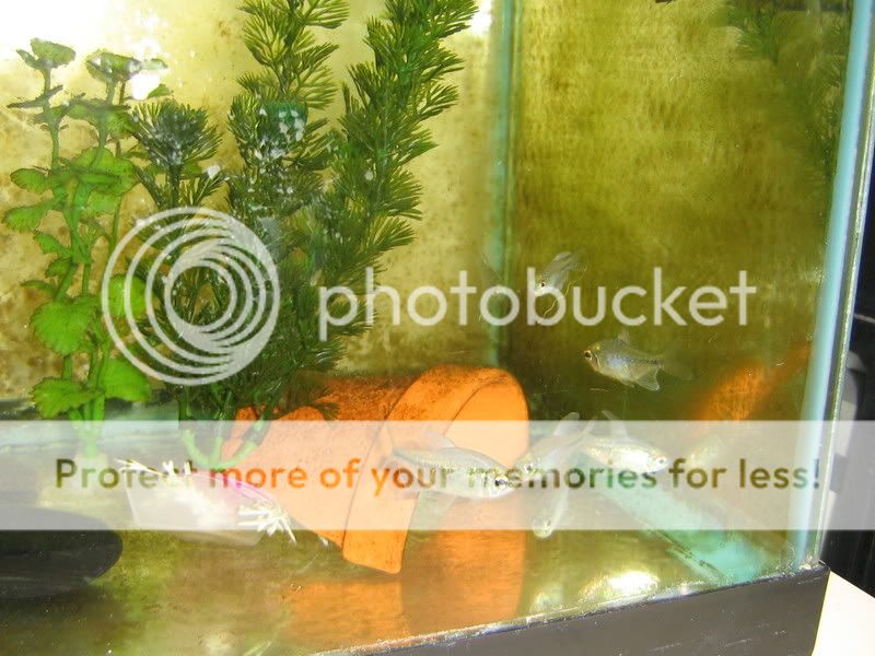 PictureorVideo419.jpg