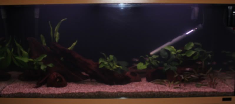 5newscape.jpg
