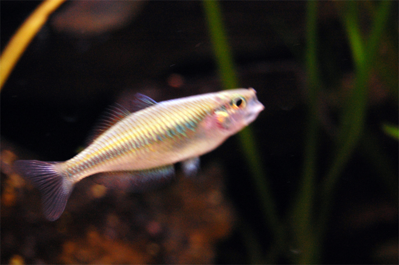 dsc39551328915065.jpg