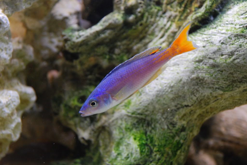 DSC_0025.jpg