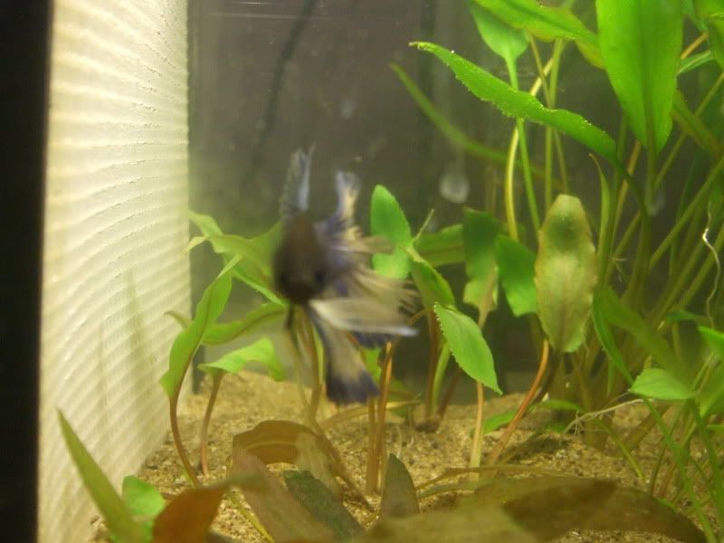 DSCF5548.jpg