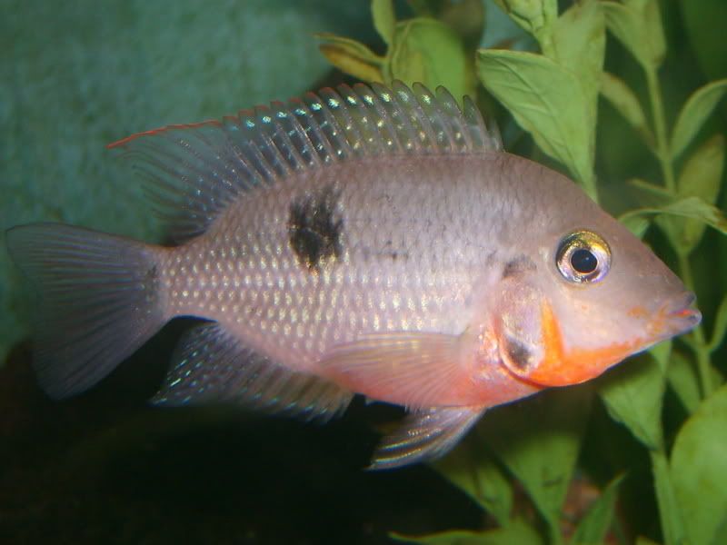 S5005989.jpg