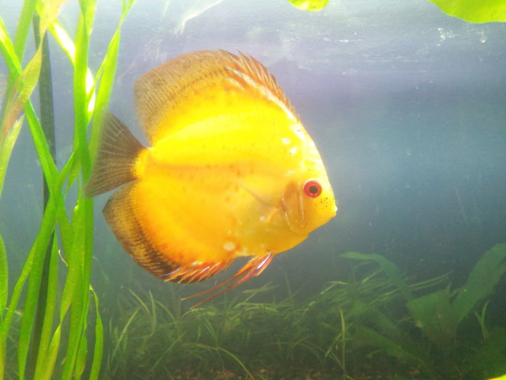 2012-02-29192237.jpg