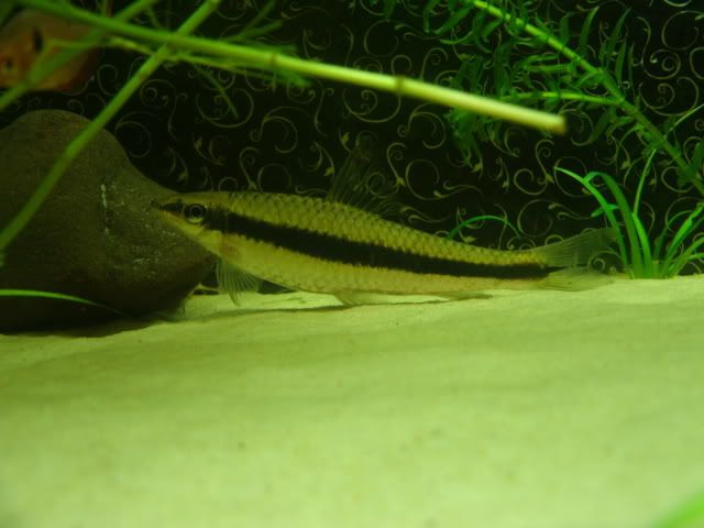 GEDC0124.jpg