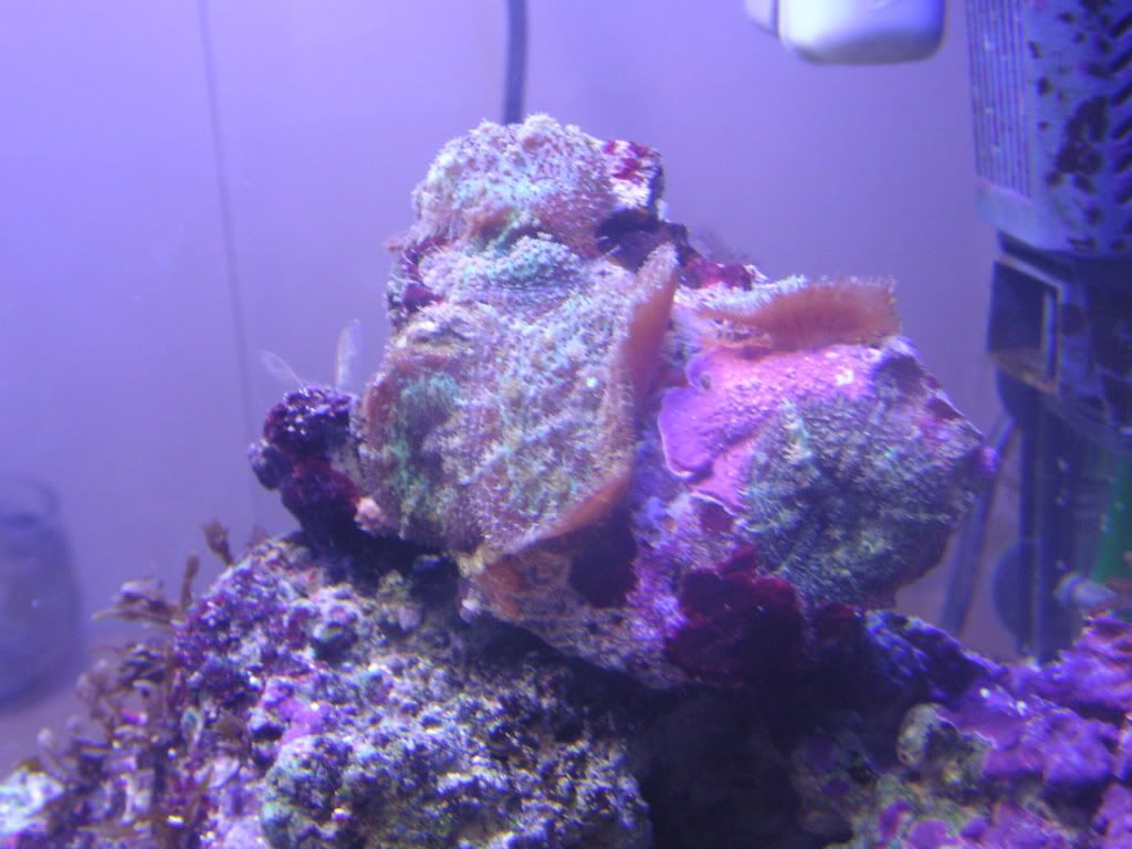 PICT0383.jpg
