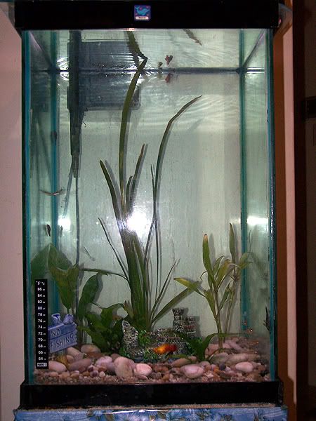 100_1705.jpg