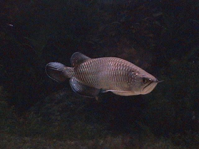 DSC00209.jpg