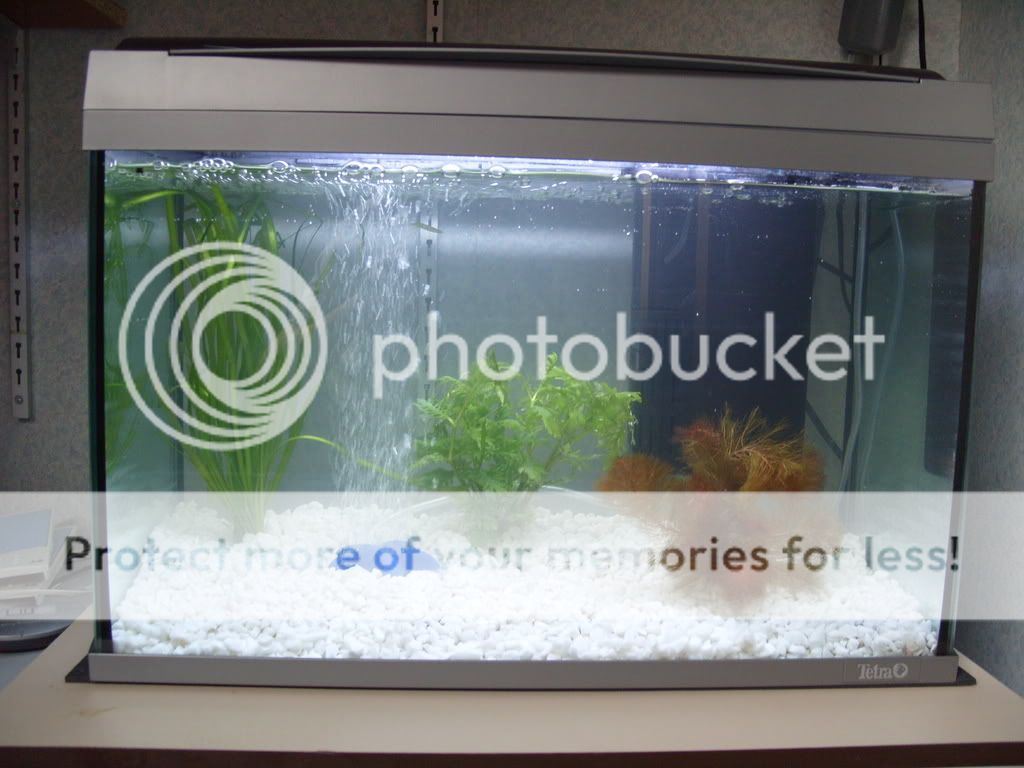 S1050659.jpg