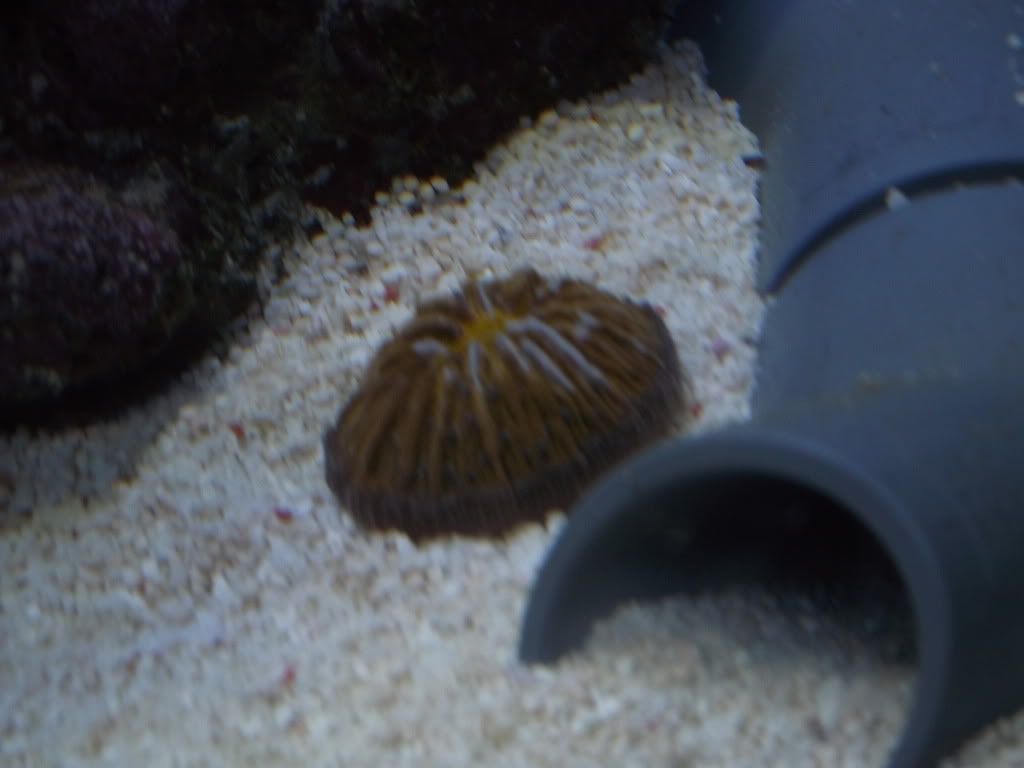 DSCF2004.jpg