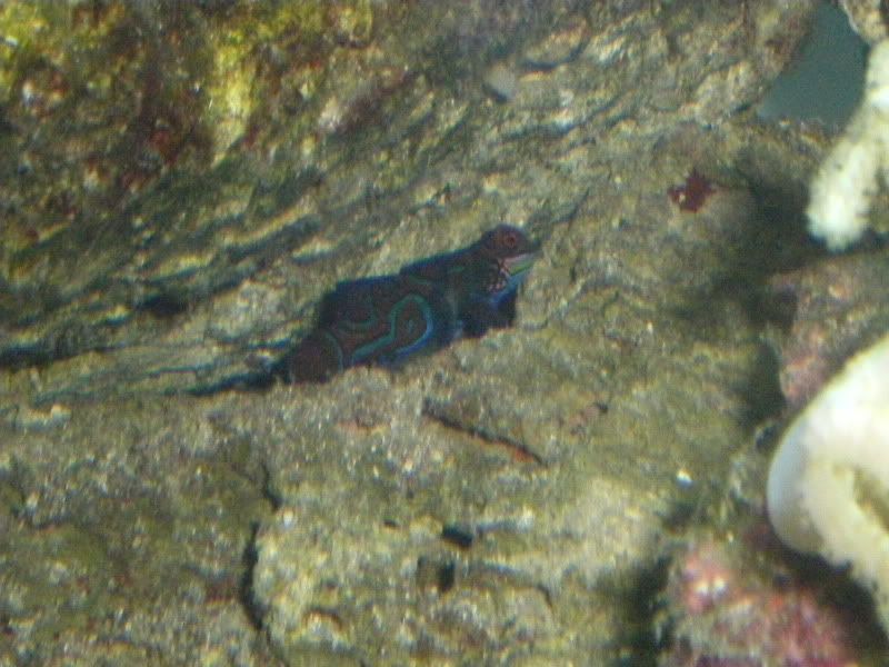 IMGP5460.jpg