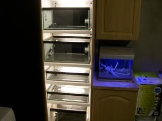Picture585.jpg