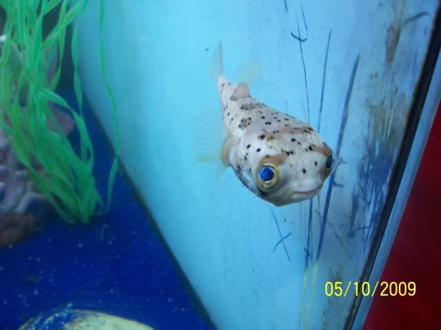 100_6123.jpg