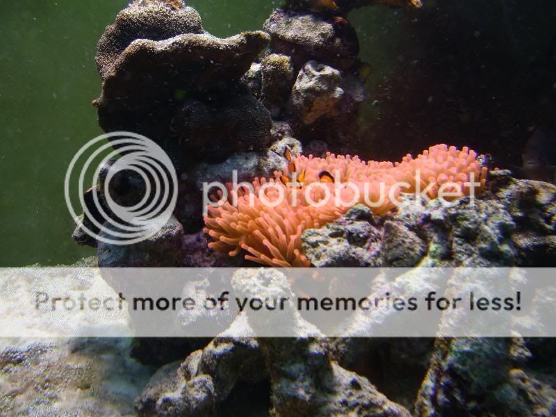 DSCF3581.jpg