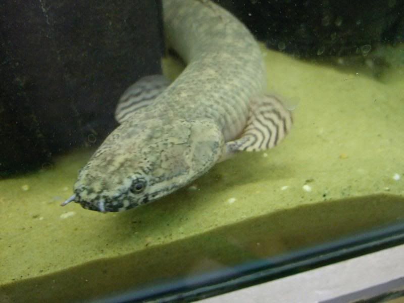 DSCF2591.jpg