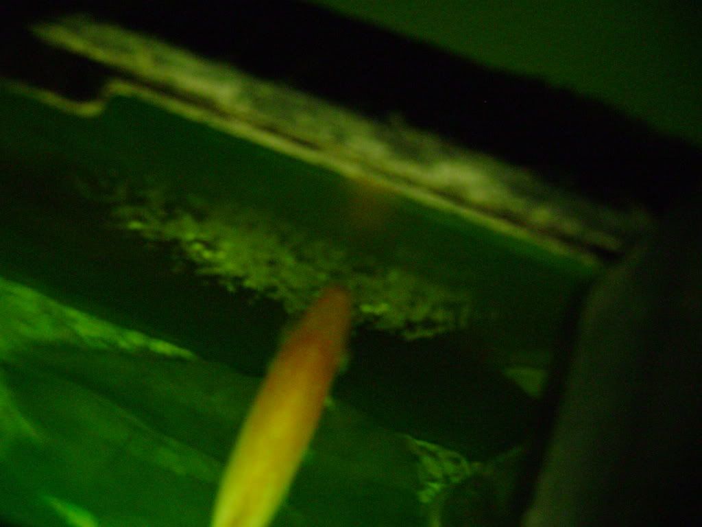 013-5.jpg