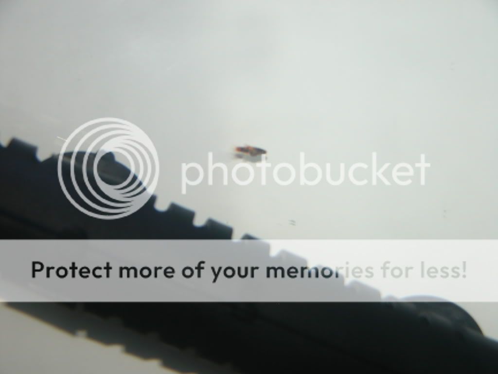 DSCN2951.jpg