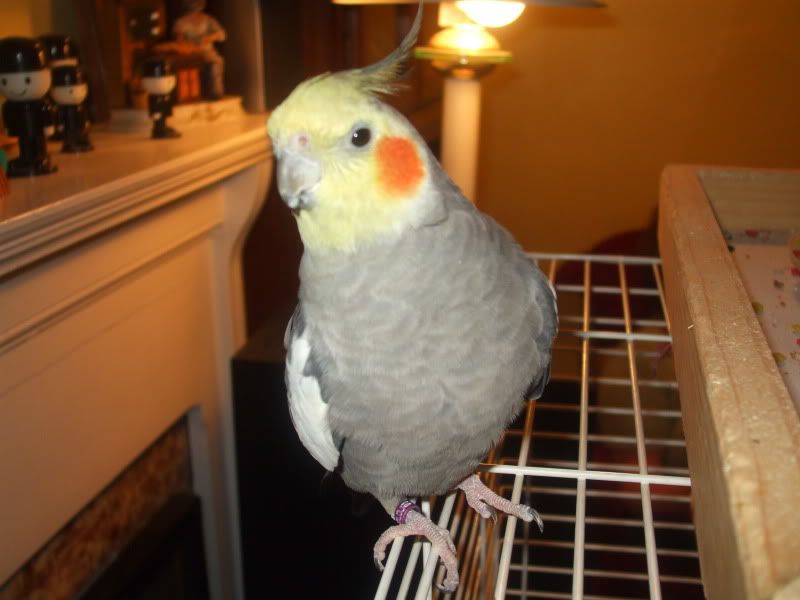DSCF5604.jpg
