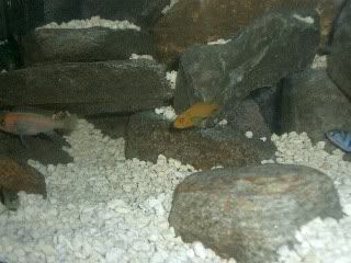 Picture076.jpg
