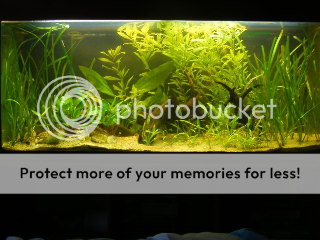 DSCF5993.jpg