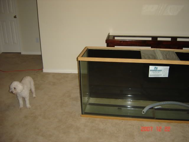 DSC05315.jpg