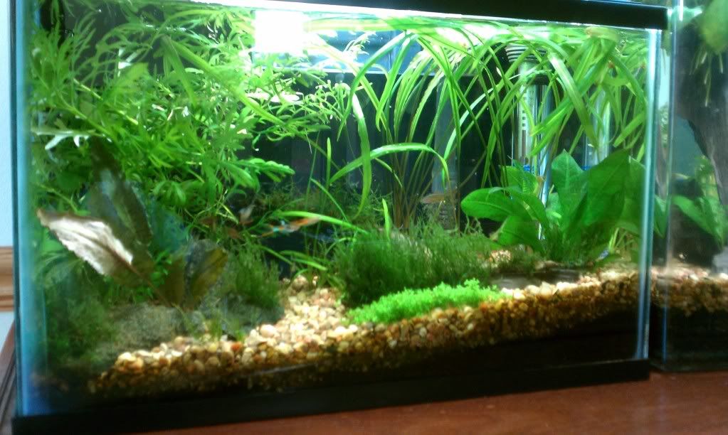 IMAG0124.jpg
