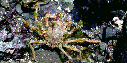 image72.gif